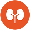 Renal